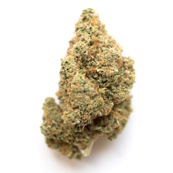 Guava Gelato