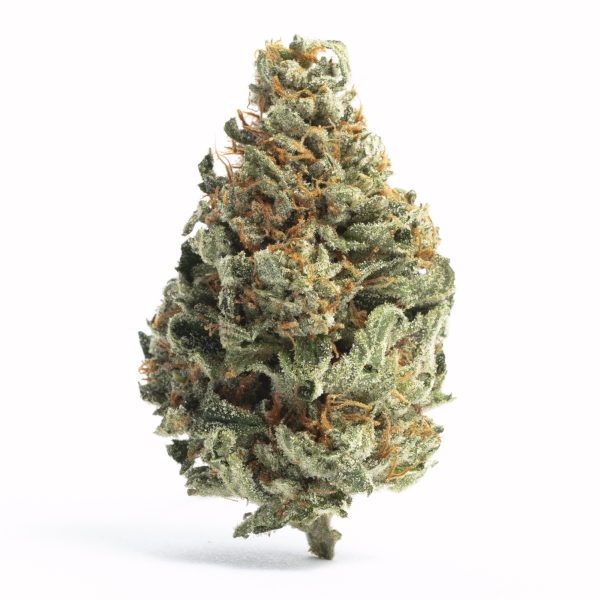Gorilla Cookies