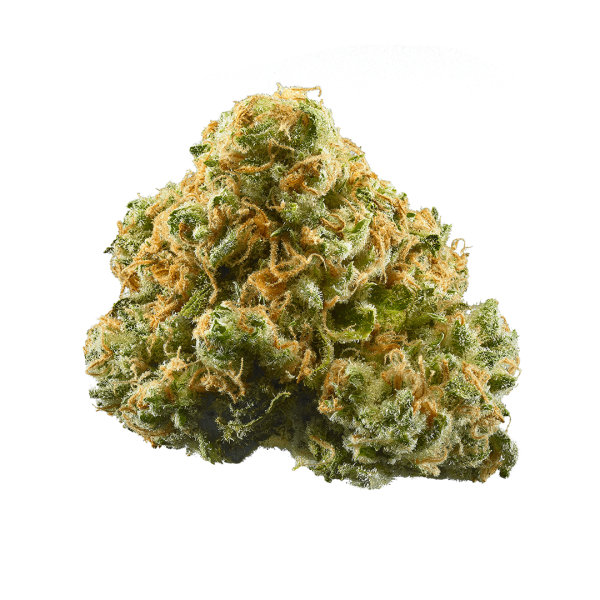 Critical Haze