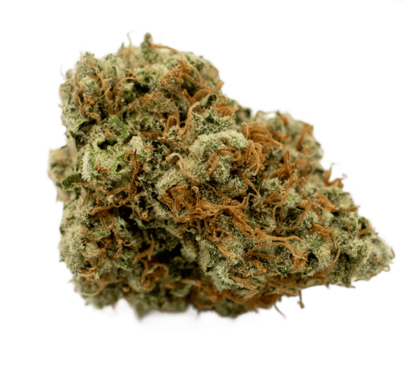 Gorilla Zkittlez