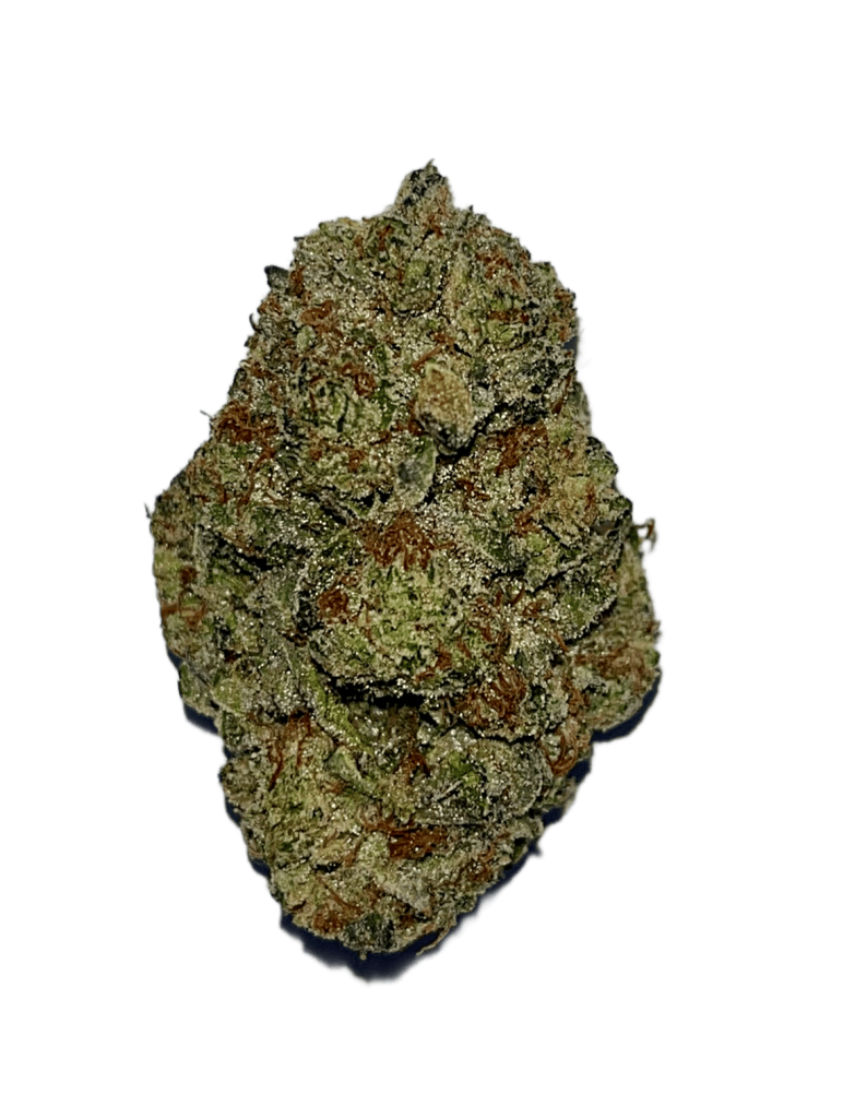 Gelato_Dog